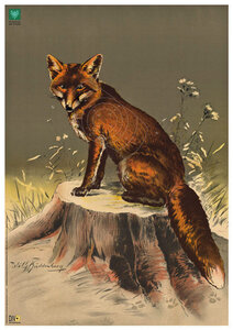 DJV-Scheibe Nr.3 Fuchs