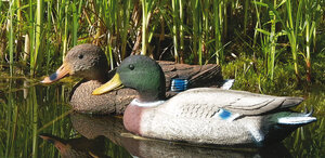 Decoy drake