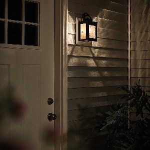 Outdoor wall light Carlson 3